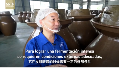 CGTN西班牙频道专访-眉山泡菜：风味背后的产业力量