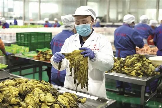 东坡泡菜：一碟下饭“小菜” 泡出产业“大餐”